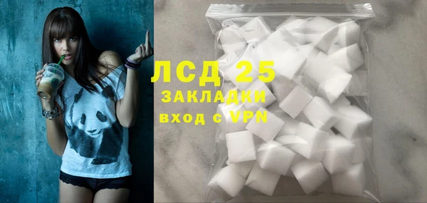 стаф Вязьма
