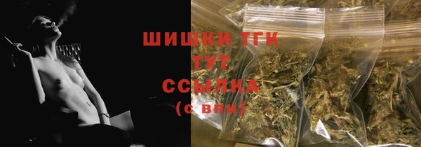 Альфа ПВП Горняк