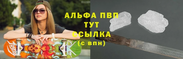 Альфа ПВП Горняк
