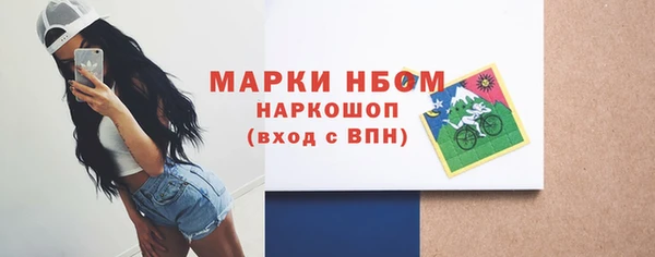 Альфа ПВП Горняк