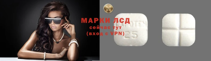 прущие крисы Вяземский
