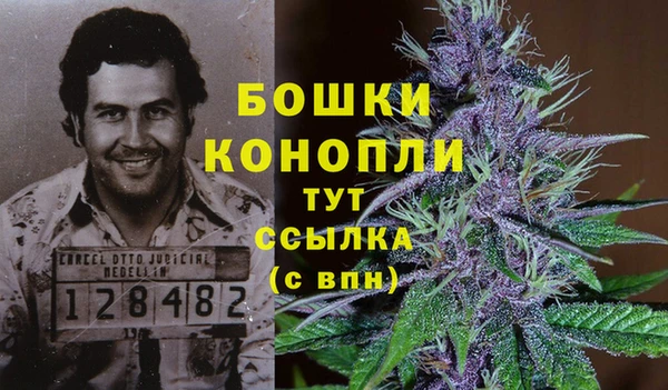 гашик Горно-Алтайск