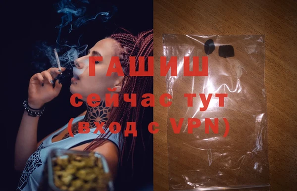 сатива Новочеркасск