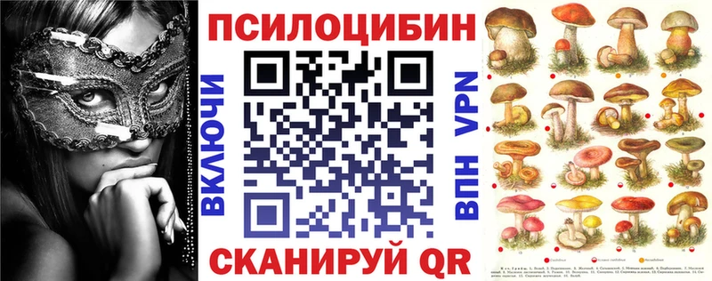 mega онион площадка как зайти Галлюциногенные грибы прущие грибы дарнет шоп Зубцов
